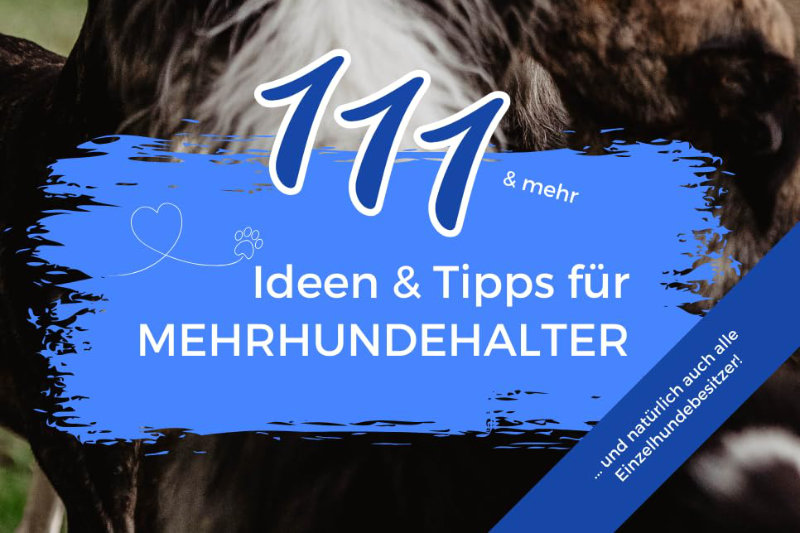 Cover 111 Ideen & Tipps für Mehrhundehalter