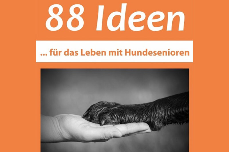 Cover 88 Ideen für das Leben mit Hundesenioren